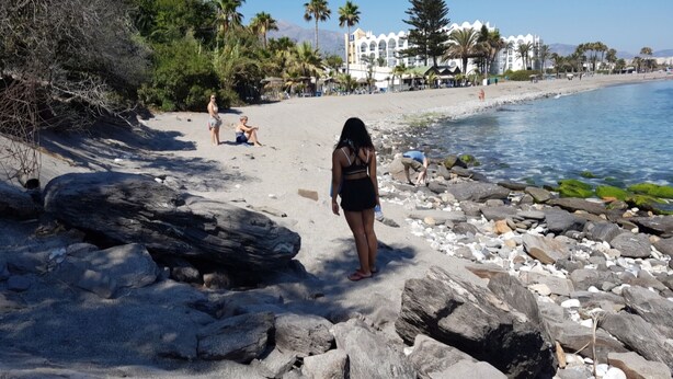 A beach with rocky terrain, palm trees, and a building in the background. - Villa - Casa del Sol! Detached villa with pool, outdoor terraces near the beach! (Nerja)