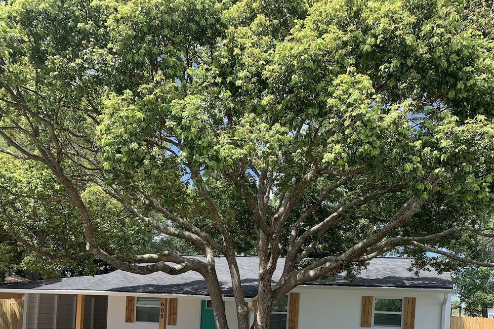 Clearwater Private vacation home