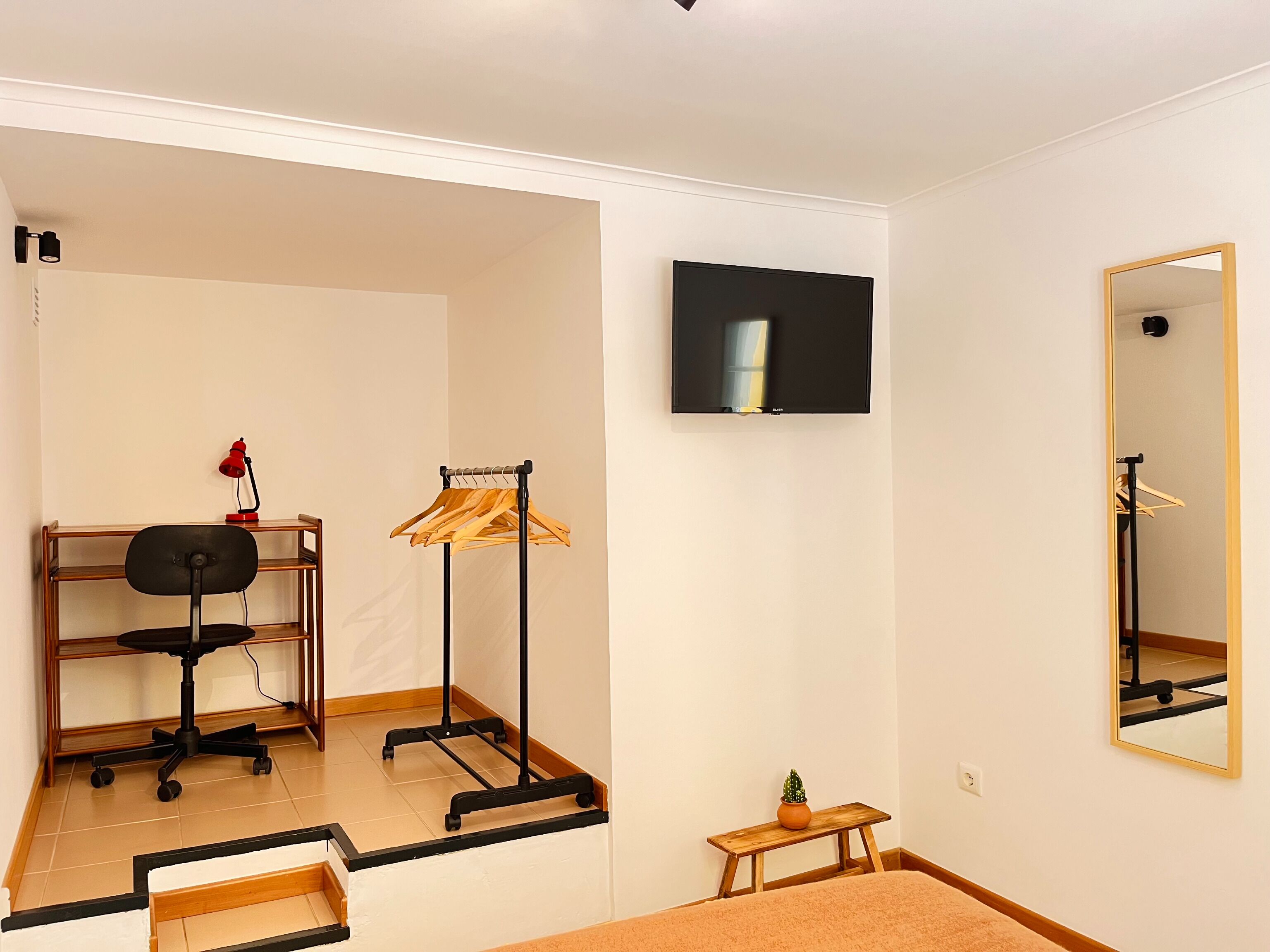 Une pièce comprenant un bureau, une chaise, un téléviseur, un miroir et une petite table sur laquelle est posée une plante.