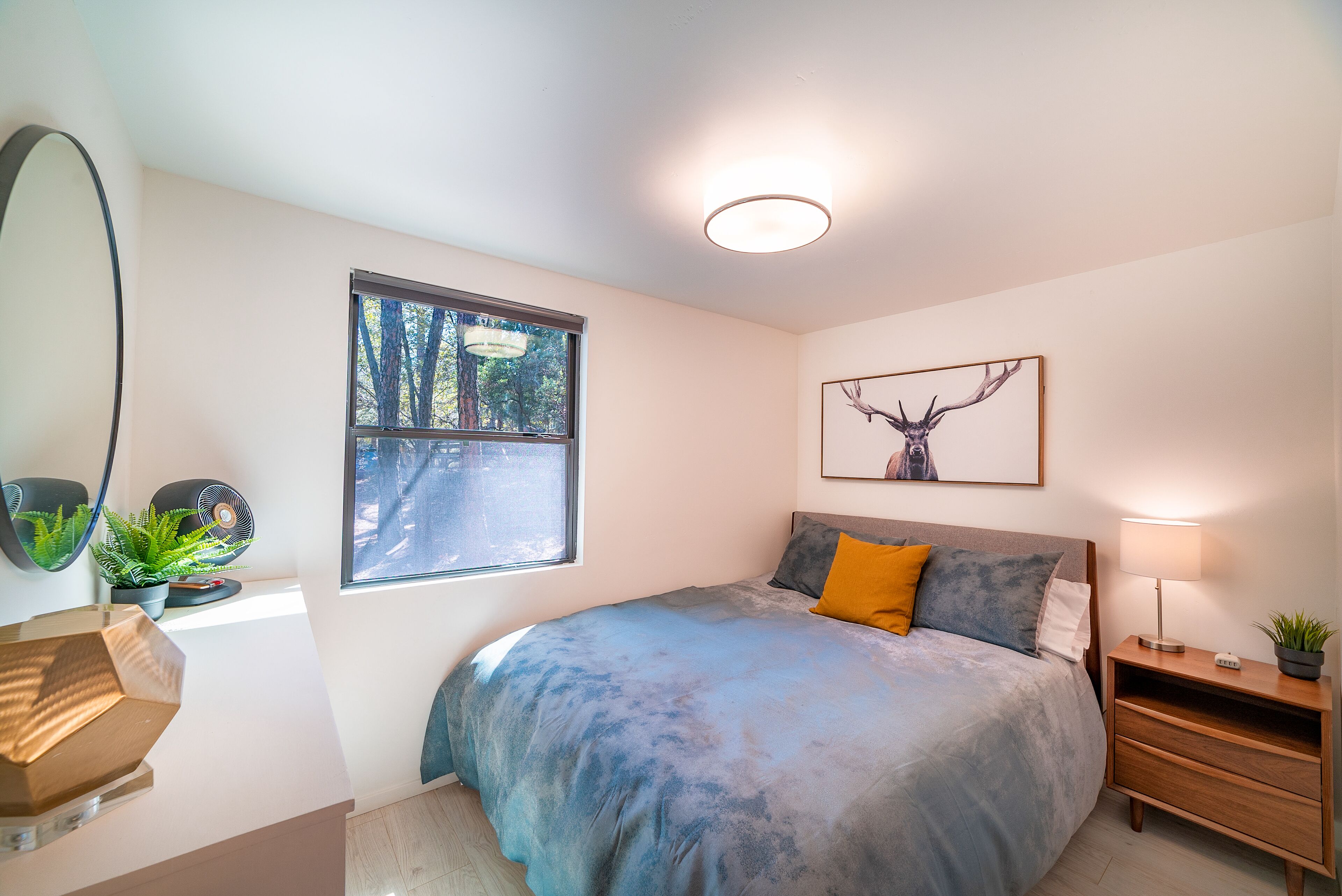 *LUX MOD CABIN* In the Pines.  Pine, AZ