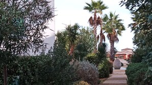 A pathway lined with various plants and palm trees, leading to a building with a tiled roof. - Serignan-Canal du midi. Spacious apartment in luxury apartment complex. Full A/C (Sérignan)