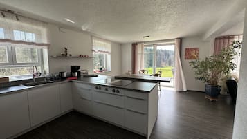 Fridge, oven, stovetop, dishwasher