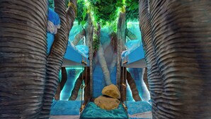 A slide with a rock at the bottom, surrounded by palm trees and hanging vines.