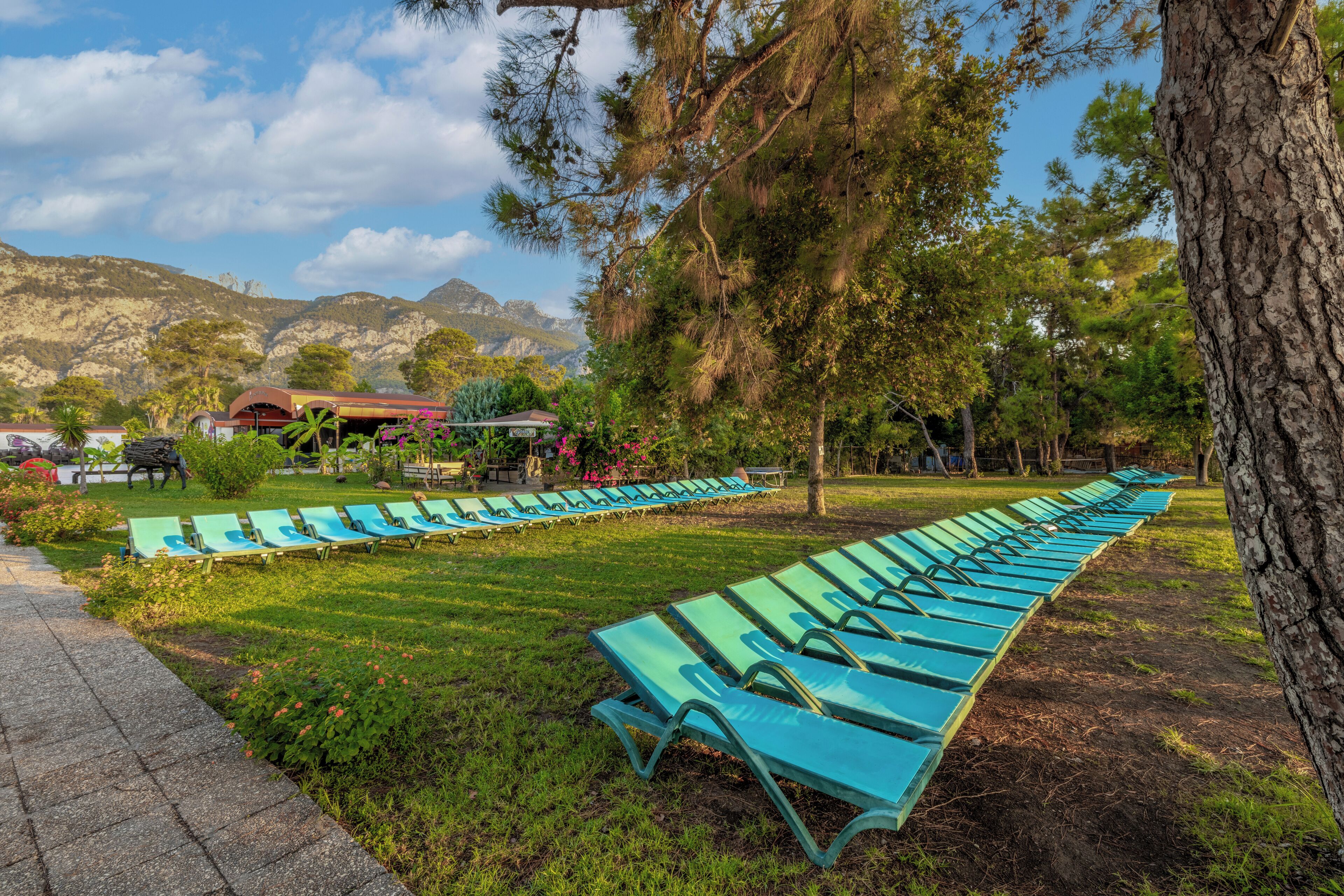 A row of blue lounge chairs in a park setting with a mountain backdrop and a building with a red roof.