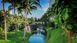 A serene garden with a water feature, palm trees, and lush greenery.