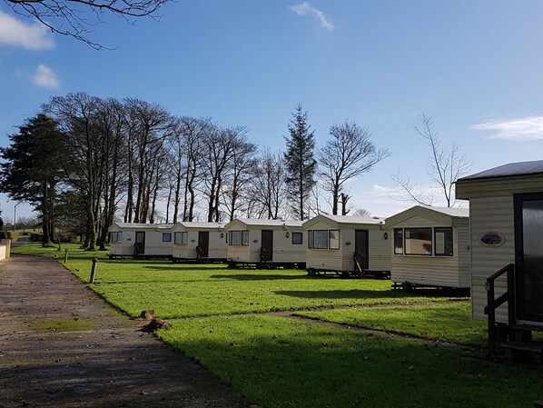 A row of mobile homes with a grassy lawn and trees in the background.