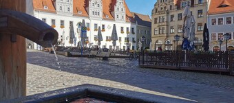 Fynbos Apartment in der Altstadt, Parkplatz, Netflix