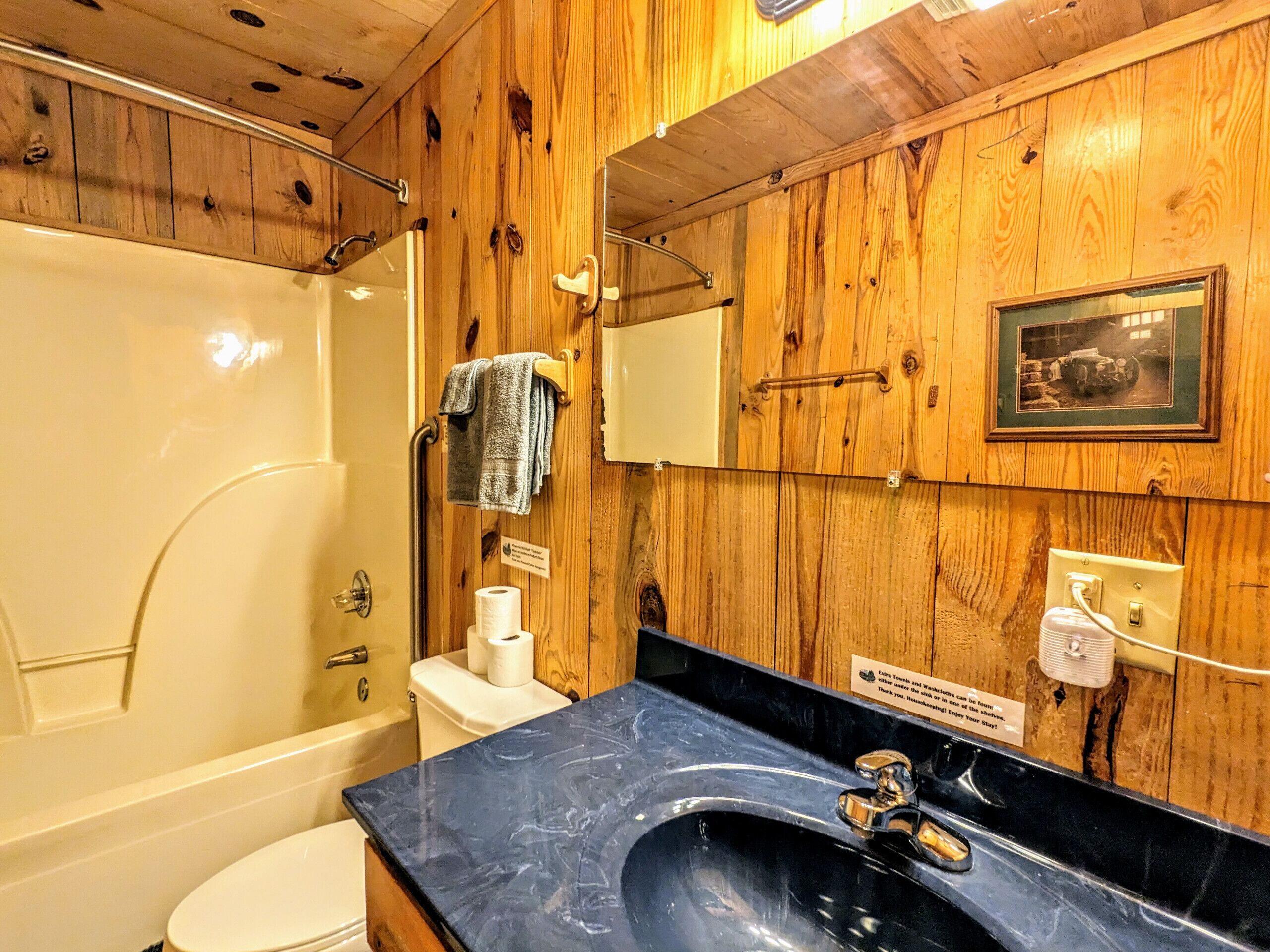 #06 Pinewood The Old Homeplace