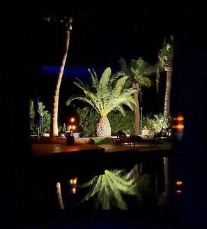 Un espacio exterior nocturno con una gran palmera iluminada, una pequeña fuente y zonas de estar.