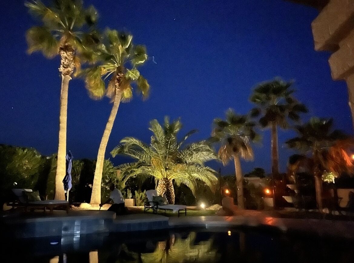 🌴 Work Assignment Oasis 🌴