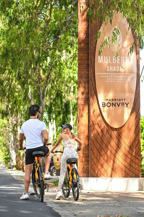 A tree-lined street with a large sign for Mulberry Shades.