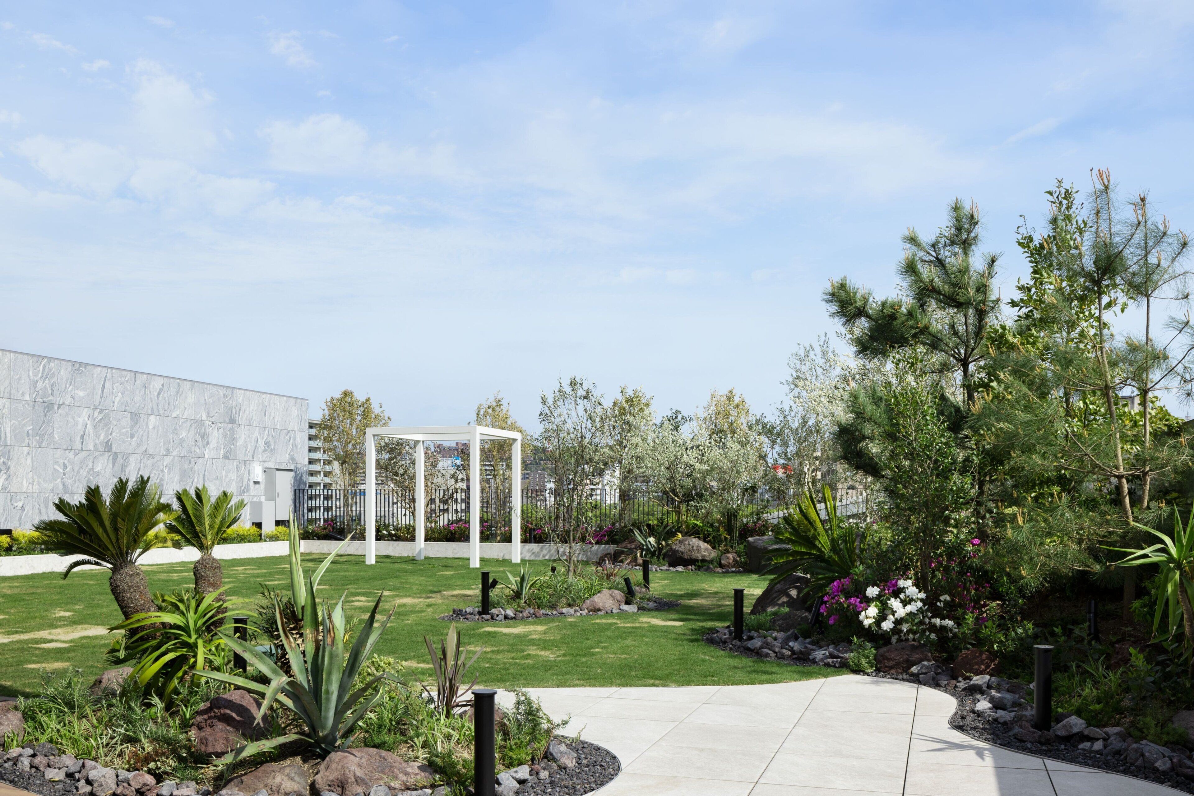 A landscaped garden with a pathway, palm trees, and various shrubs.