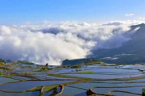 Unclassified image, 5 of 51, button - Yuanyang Green Hostel & Sunny Guesthouse (Yuanyang)