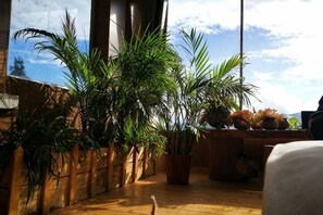 Un balcó amb plantes en testos, un paviment de fusta i vista al cel.