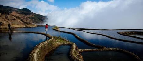 A landscape with terraced water bodies and a person in red.