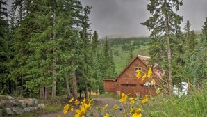 A wooden cabin surrounded by dense forest.