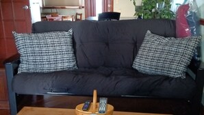 A living room with a dark-colored sofa, two patterned throw pillows, a wooden coffee table with a basket containing two remote controls, and a patterned rug.