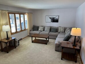 Smart TV, fireplace, DVD player, books