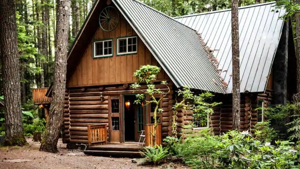 A rustic log cabin with a metal roof, surrounded by dense forest.