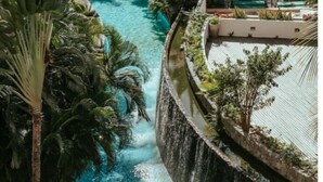 Una piscina con tobogán, rodeada de palmeras y un muro de piedra.