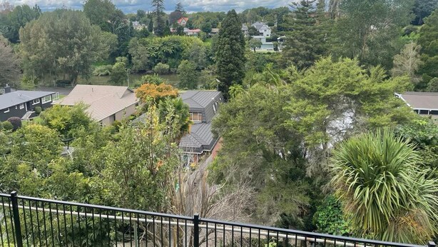 A residential area with houses surrounded by dense greenery and trees. - Stylish CBD apartment with stunning river views (Hamilton)