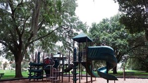 Um parquinho com escorregador e estruturas de escalada, cercado por árvores.