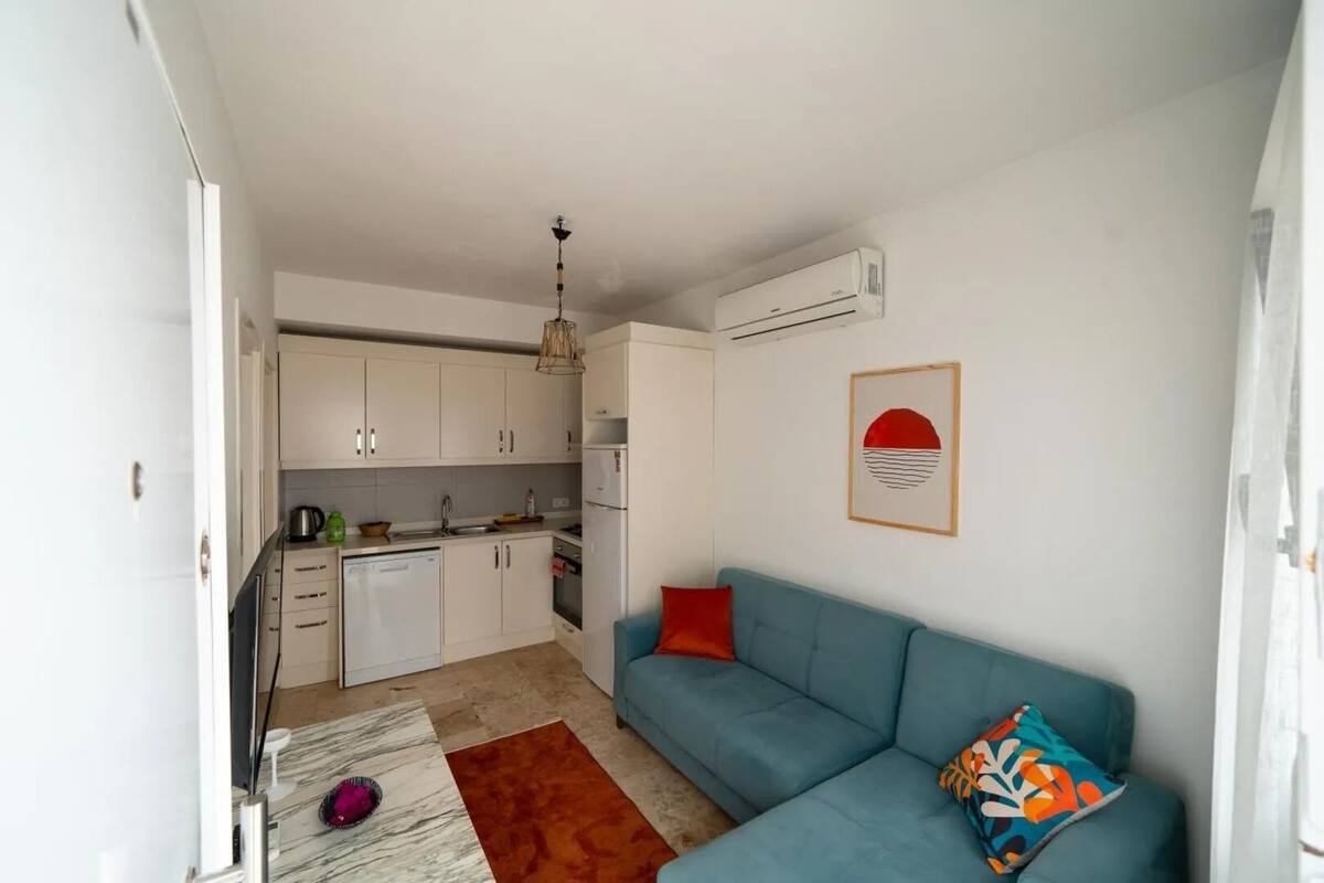 A compact living space with a kitchenette, a sofa with colorful cushions, and a framed artwork on the wall.