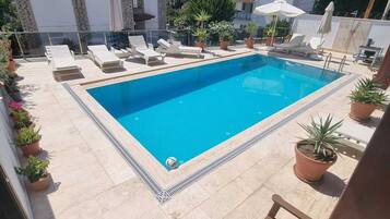 Une piscine rectangulaire entourée de chaises longues et de plantes en pot.