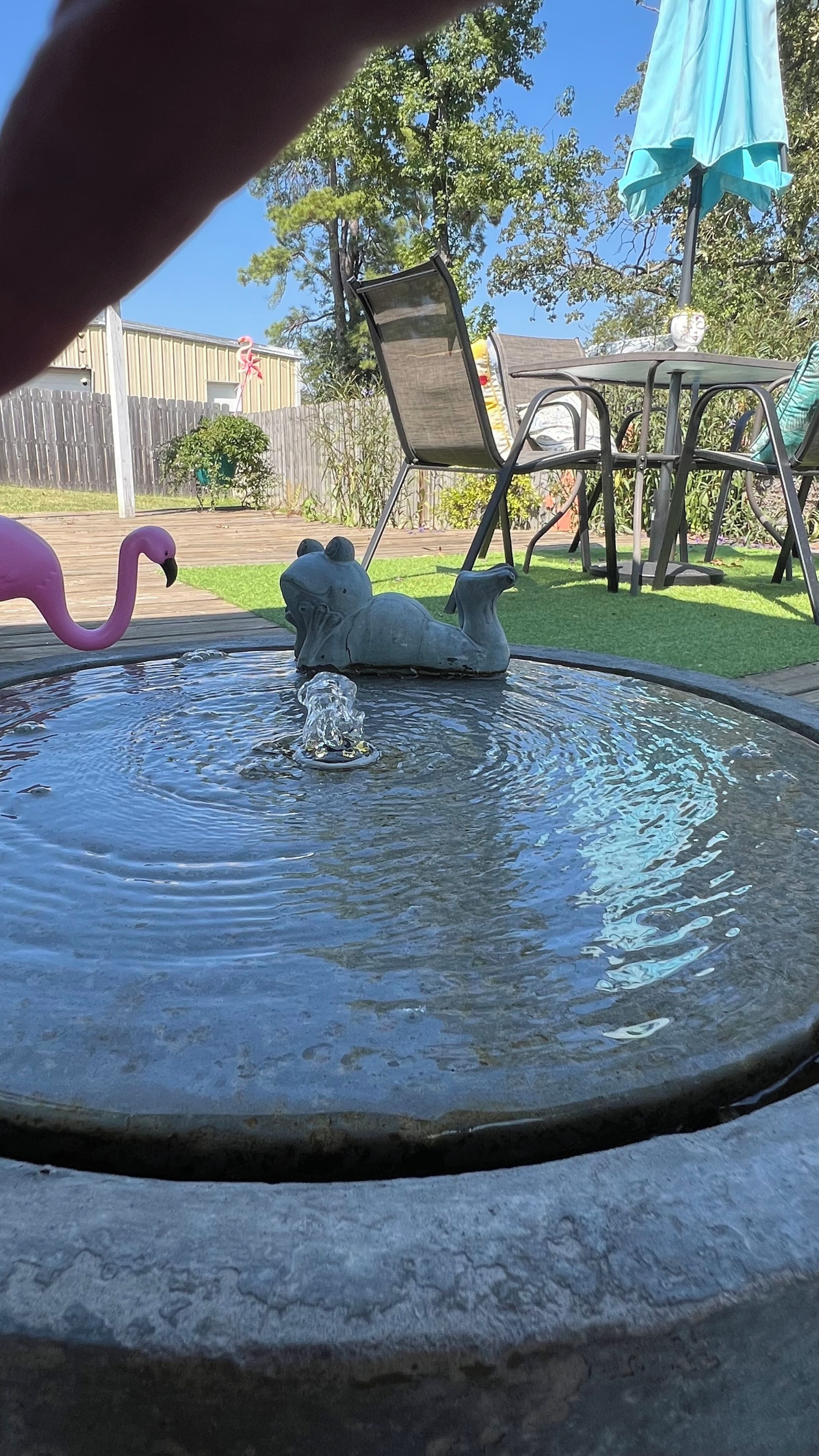 Een vogelbad met een flamingo en een kikkerbeeldje in een achtertuin met een houten hek en tuinmeubilair.