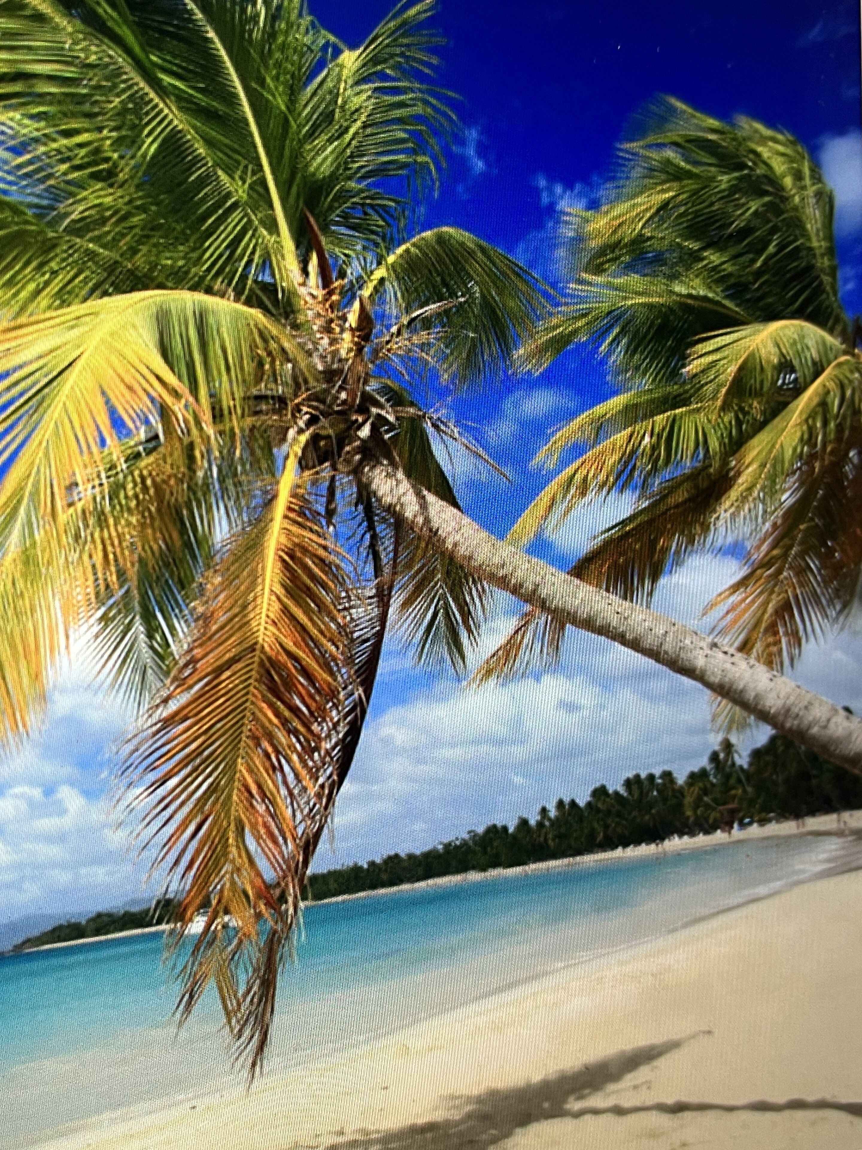 Sun loungers, beach towels