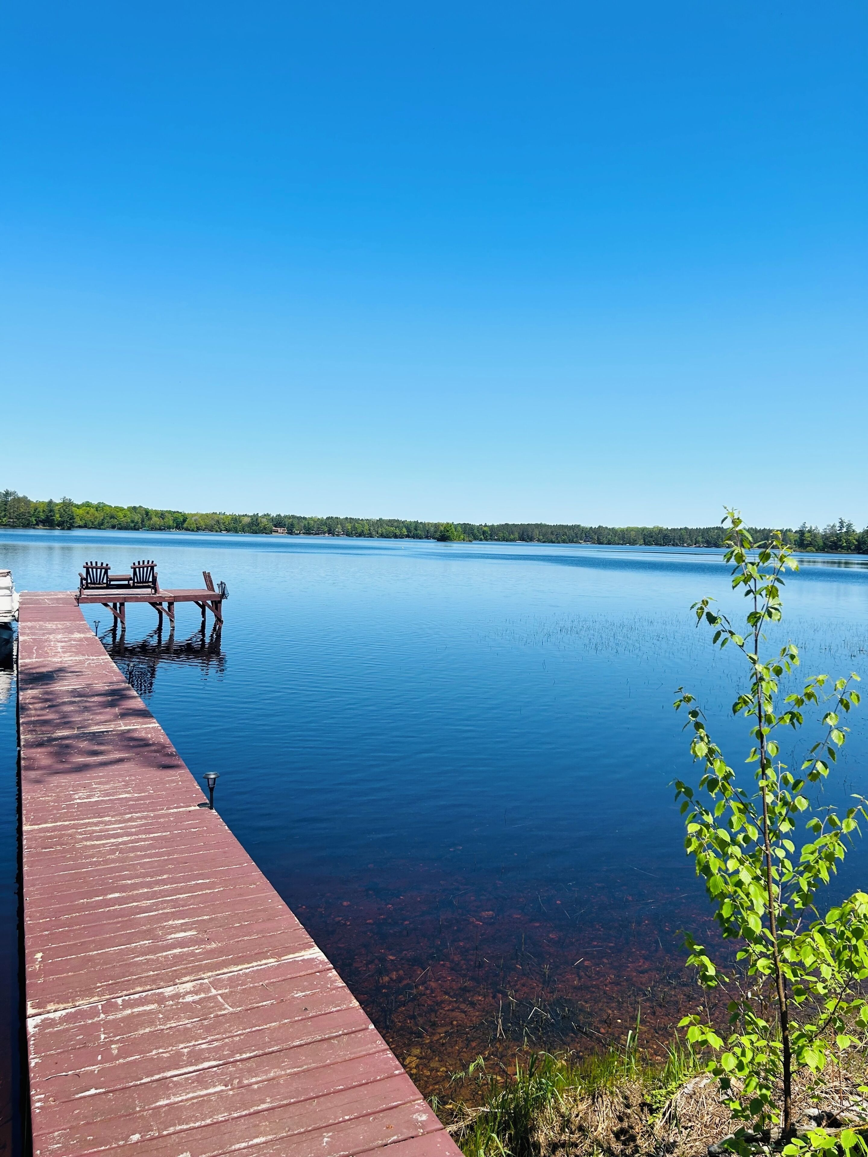 Une jetée en bois s’étendant dans un lac paisible aux eaux d’un bleu limpide, entourée d’arbres et sous un ciel dégagé.