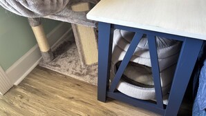 Una habitación con un rascador para gatos, una mesa con superficie blanca y una silla azul.