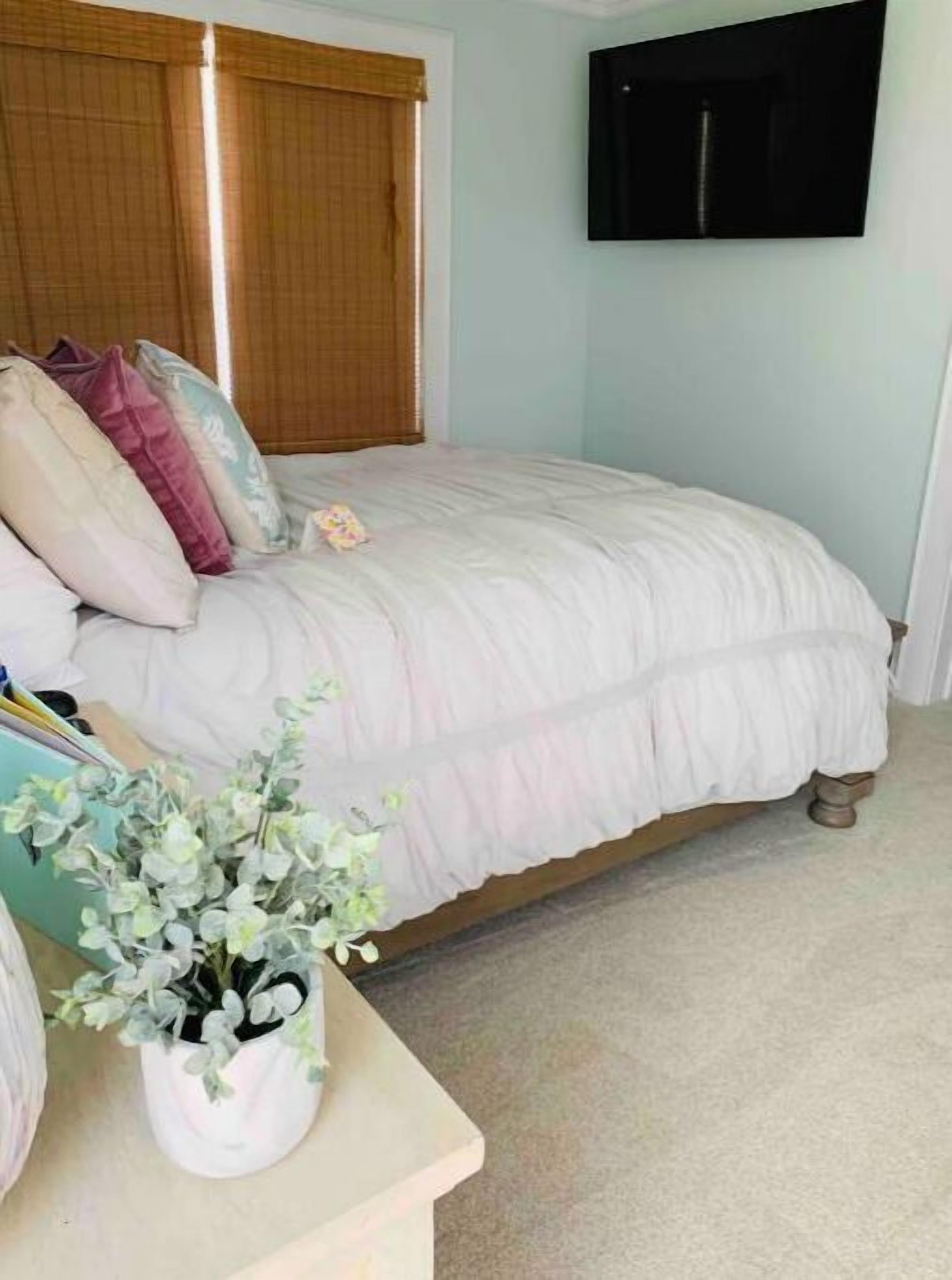 A bedroom with a bed, a bedside table with a plant, a wooden headboard, and a wall-mounted TV.