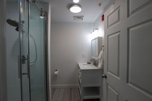 A bathroom with a glass shower enclosure, a white sink, and a mirror.