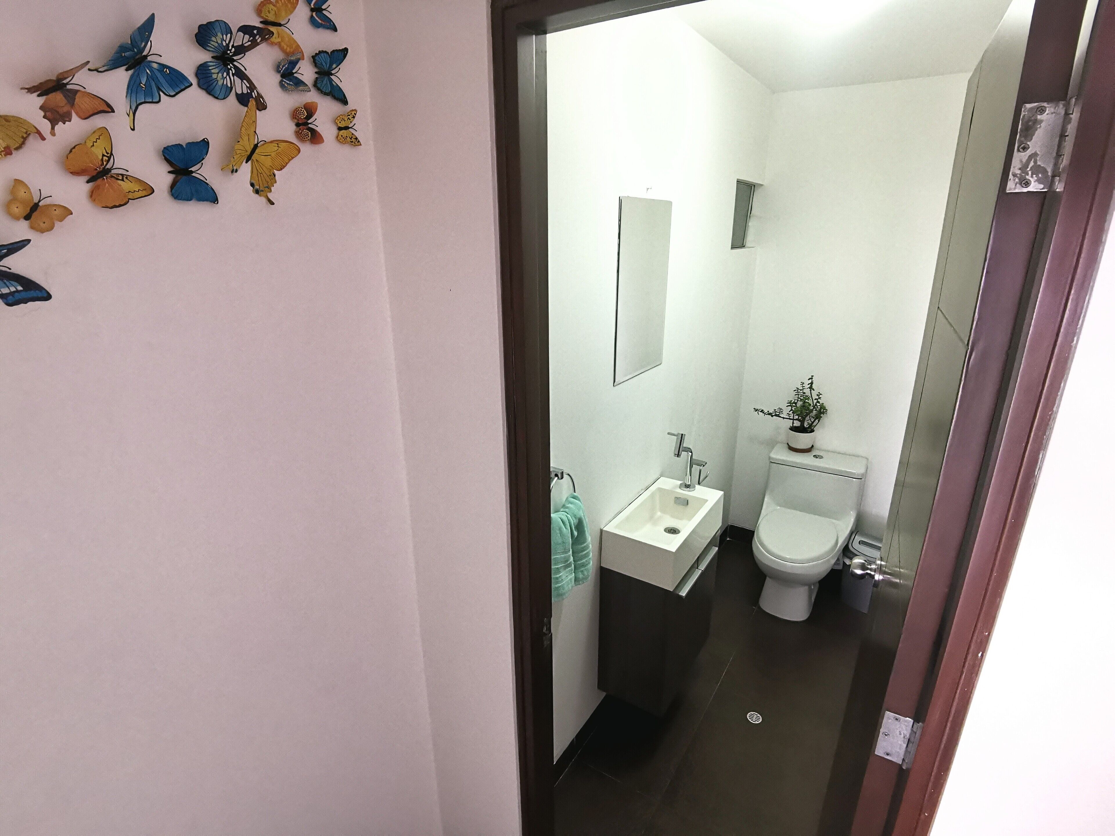 Cozy flat in the middle of Barranco the stylish district in Lima