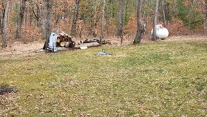 A forested area with a pile of logs and a large white object, possibly a storage container, on the ground. - Experience the Peaceful Wonders of Nature Here (Baldwin)