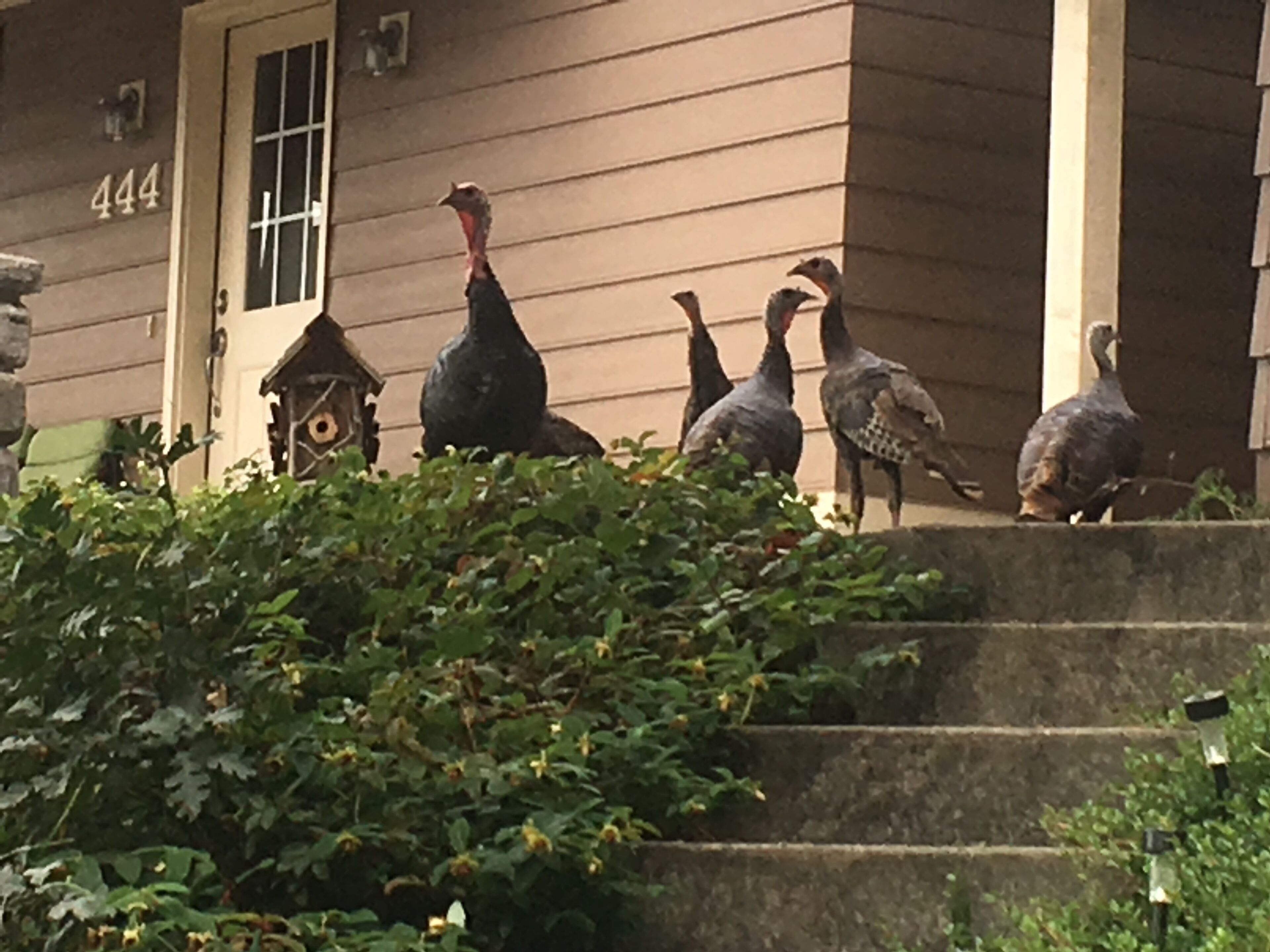 Detall de l'exterior