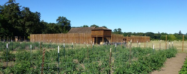 A farm with a wooden barn and fenced vegetable plots.