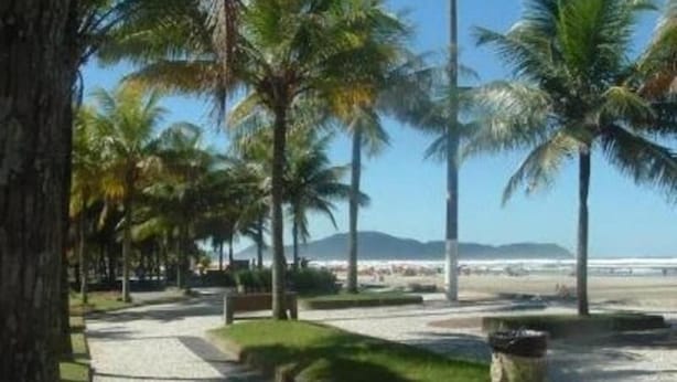 Un sendero costero bordeado de palmeras y con una banca, que conduce a una playa con vista al océano y montañas distantes.