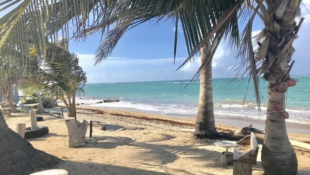 Een strand met palmbomen, een zandstrand en uitzicht op de oceaan.