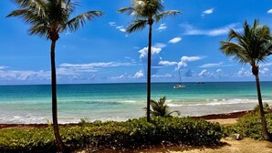 Una playa con palmeras y un cielo azul despejado.