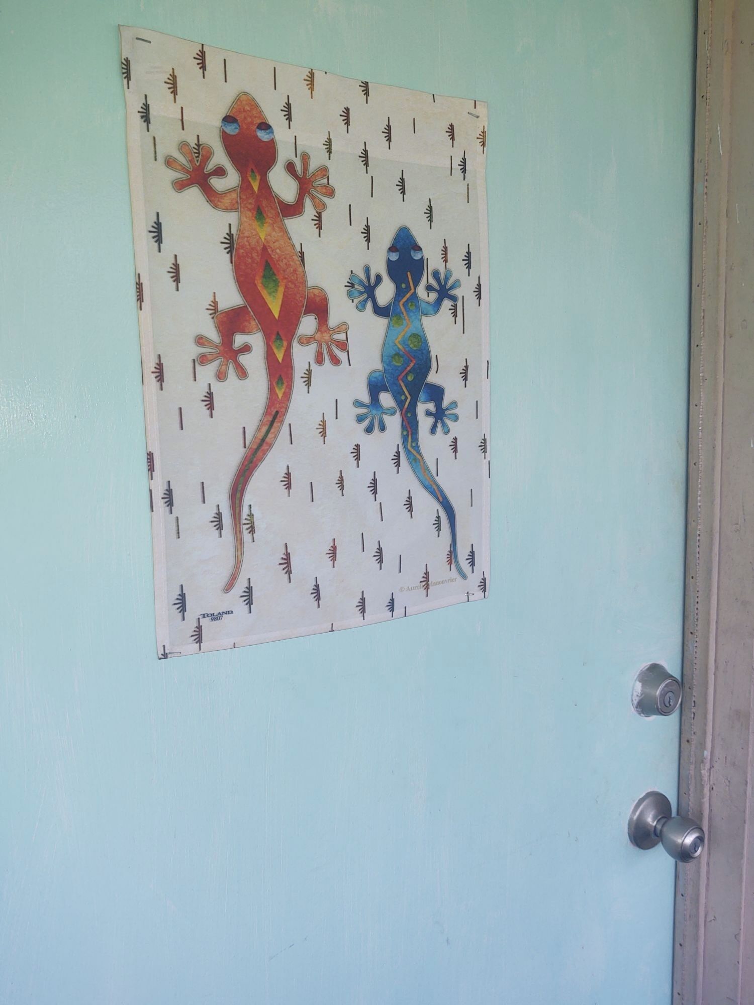 A door with a light blue paint and a decorative lizard painting on the door.