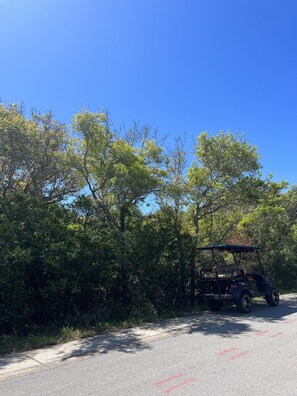 Miscellaneous - Brand new 5 BR / 4.5 Bath House in Cape Fear Station - BHI Club with Golf (Bald Head Island)