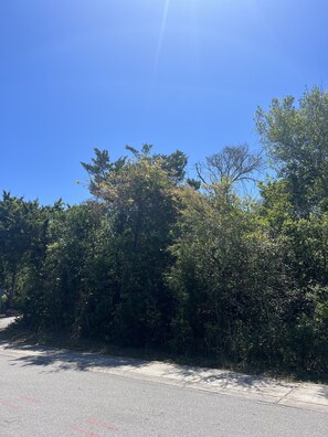 Property grounds - Brand new 5 BR / 4.5 Bath House in Cape Fear Station - BHI Club with Golf (Bald Head Island)