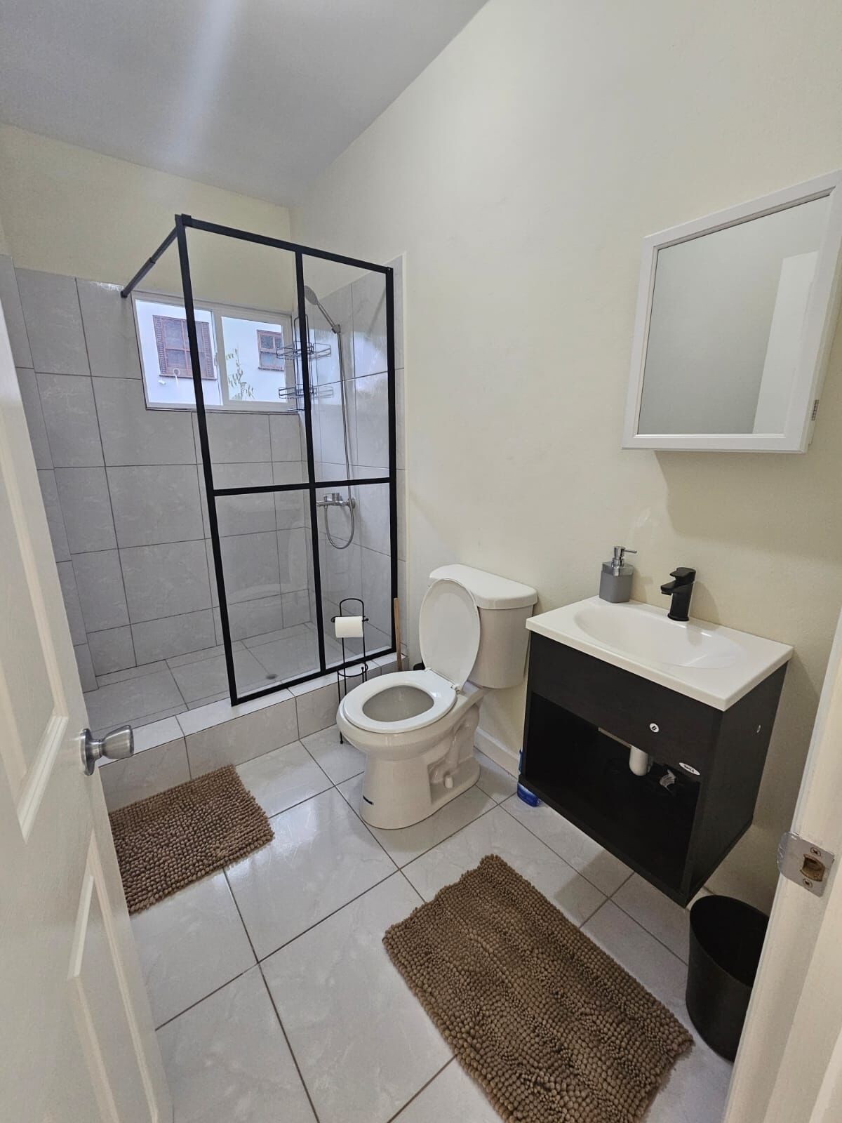 Une salle de bain avec une douche à parois de verre, des toilettes, un lavabo et un miroir.