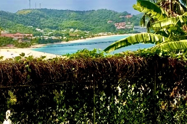 View from the unit