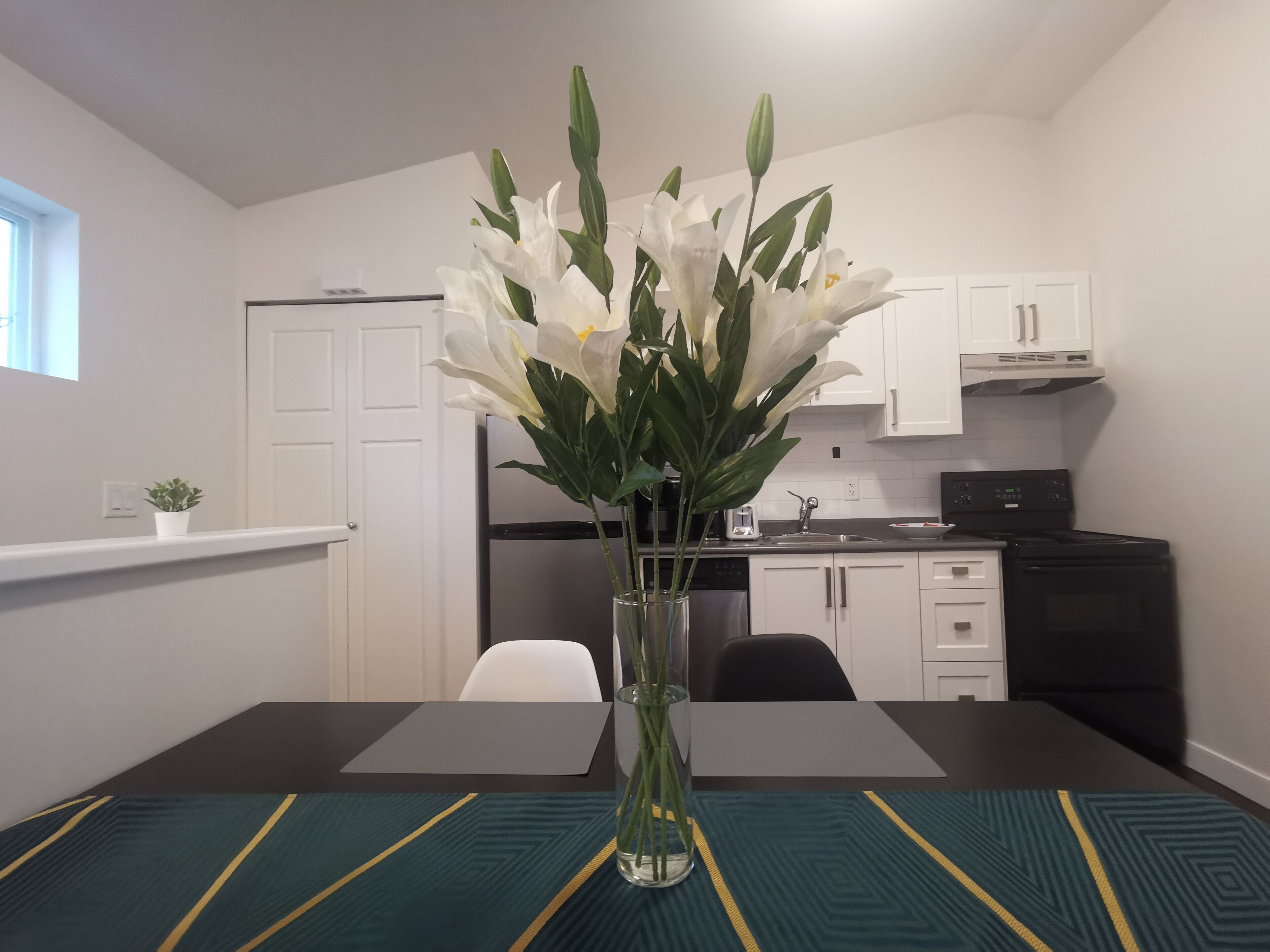 Bright coach house in Burke Mountain 