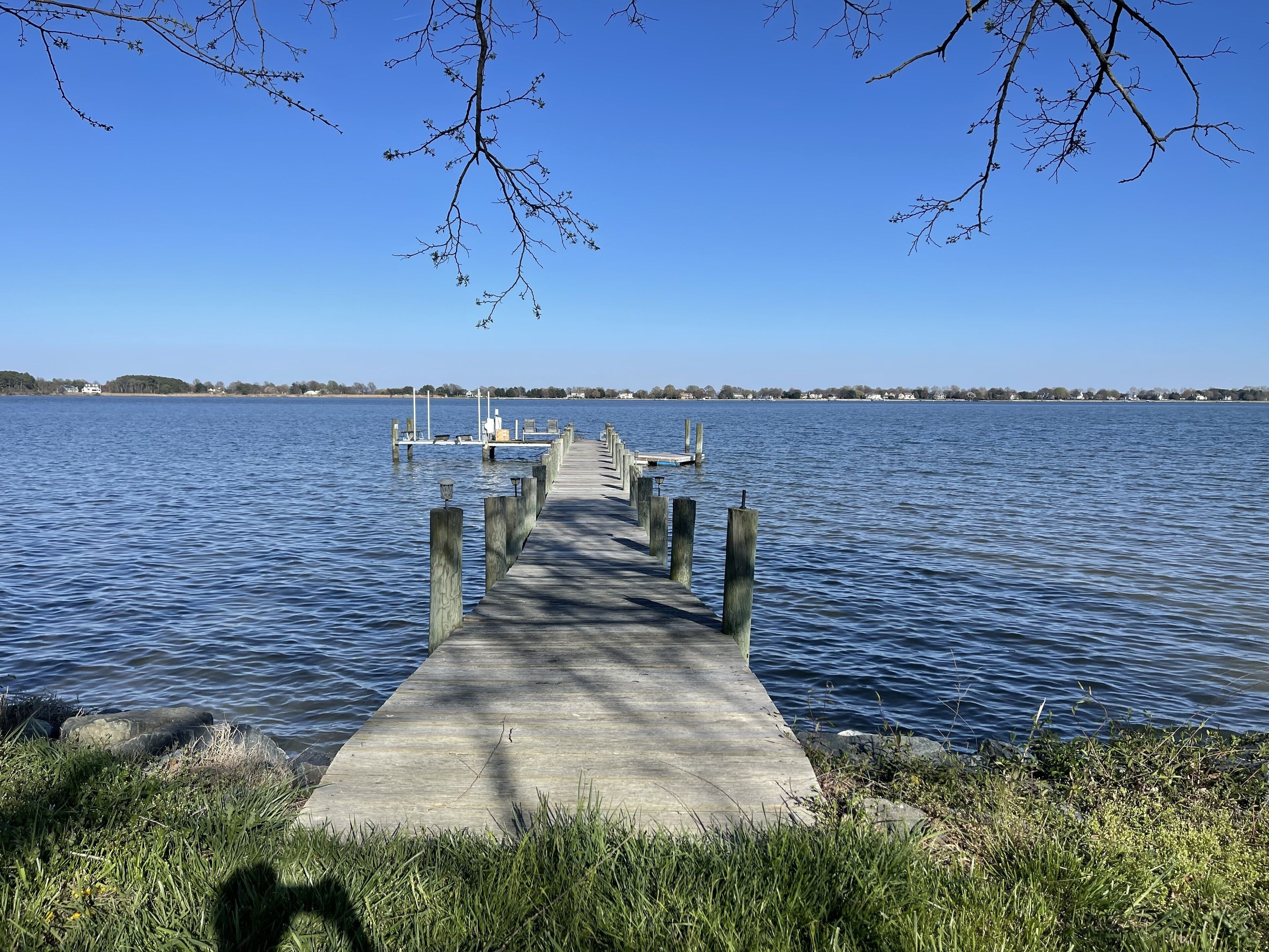 Fish to the Left of Me, Geese to the right, Stuck in the middle w/ Goats