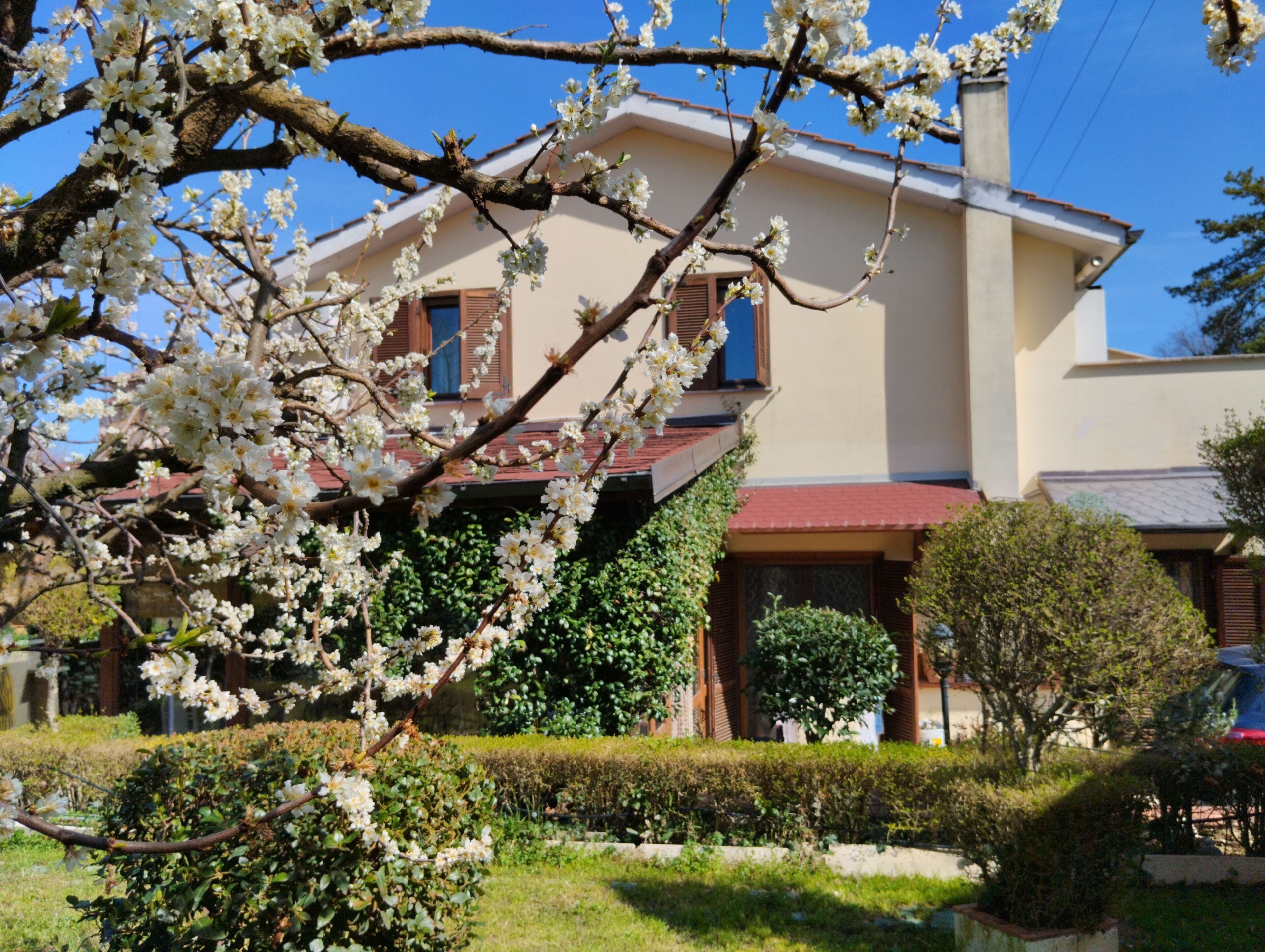 Bed and breakfast 3 camere, con giardino