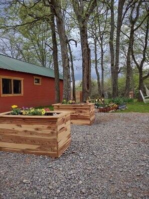 Property grounds - Dairy Cottage in The Cedars (Lebanon)